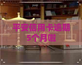 平安信用卡逾期5个月啦