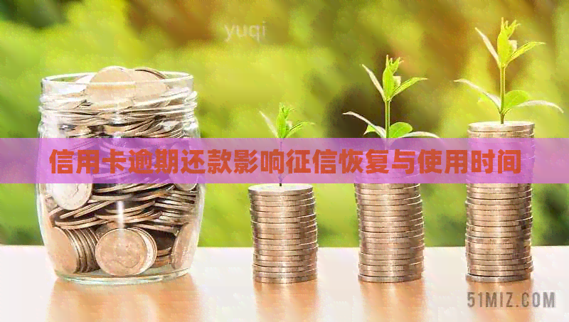 信用卡逾期还款影响恢复与使用时间