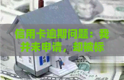 信用卡逾期问题：我并未申请，却被标记，如何解决？