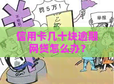 信用卡几十块逾期网贷怎么办？