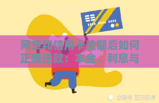 网贷和信用卡逾期后如何正确还款：本金、利息与逾期罚息一览