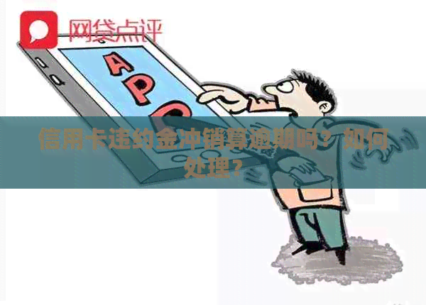 信用卡违约金冲销算逾期吗？如何处理？