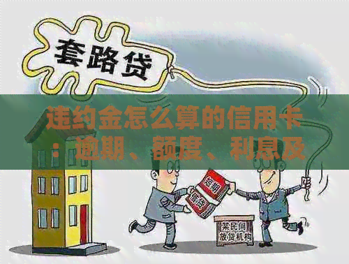 违约金怎么算的信用卡：逾期、额度、利息及每月收费情况全解析