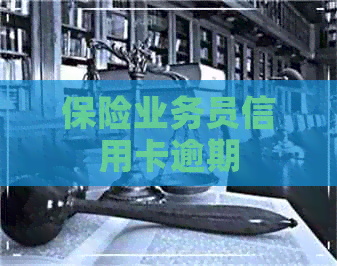 保险业务员信用卡逾期