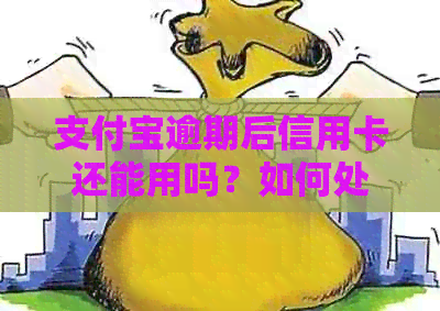 支付宝逾期后信用卡还能用吗？如何处理逾期信用卡及支付宝欠款问题？