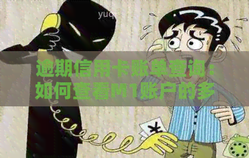逾期信用卡账单查询：如何查看M1账户的多个账单？