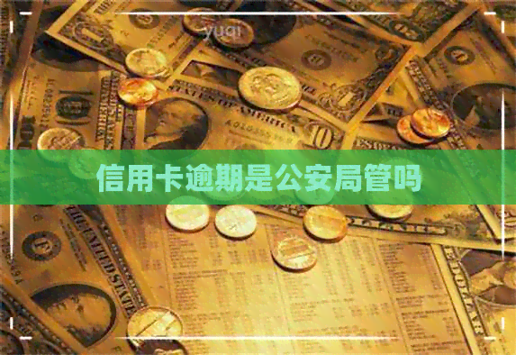 信用卡逾期是公安局管吗