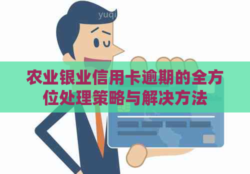 农业银业信用卡逾期的全方位处理策略与解决方法