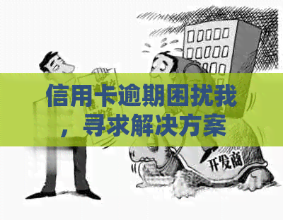 信用卡逾期困扰我，寻求解决方案
