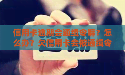 信用卡逾期会通缉令嘛？怎么办？欠信用卡会被通缉令吗？