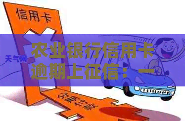 农业银行信用卡逾期上：一天影响、新法规与下卡时间