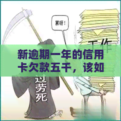 新逾期一年的信用卡欠款五千，该如何解决？