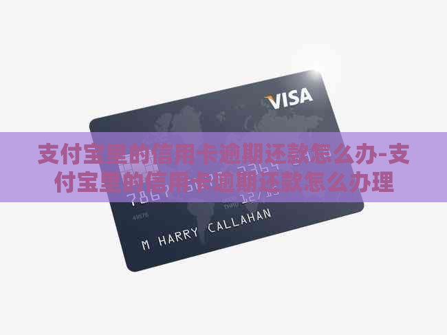 支付宝里的信用卡逾期还款怎么办-支付宝里的信用卡逾期还款怎么办理