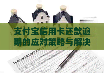 支付宝信用卡还款逾期的应对策略与解决方法