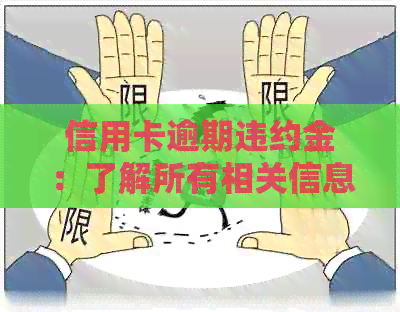信用卡逾期违约金：了解所有相关信息，避免额外费用和信用损害
