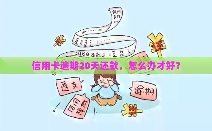 信用卡逾期20天还款，怎么办才好？