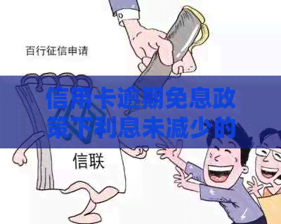 信用卡逾期免息政策下利息未减少的解决方法