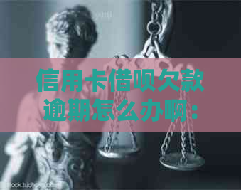 信用卡网贷欠款逾期怎么办啊： 网贷逾期会影响信用卡额度吗？