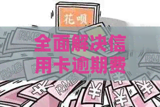 全面解决信用卡逾期费用问题：理解所有涉及的因素和可能的解决方案