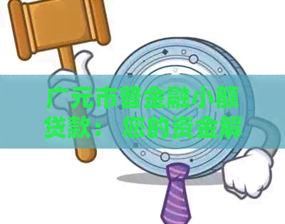广元市普金融小额贷款： 您的资金解决方案