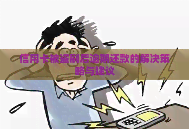 信用卡被盗刷后逾期还款的解决策略与建议