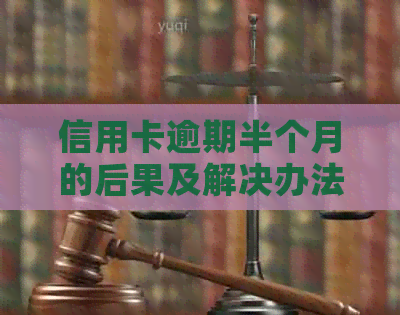 信用卡逾期半个月的后果及解决办法，全面解答用户的疑虑和担忧