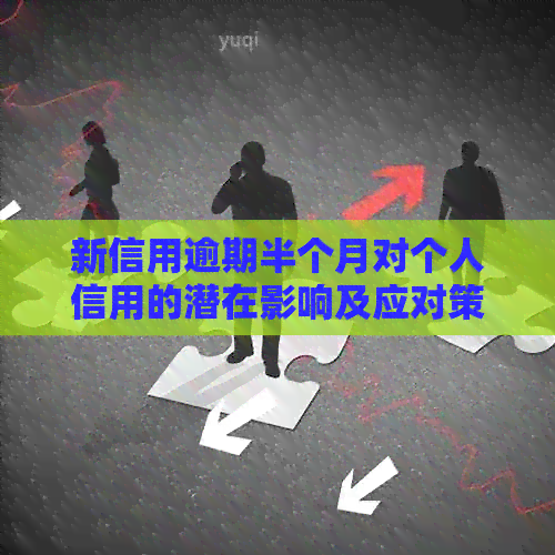 新信用逾期半个月对个人信用的潜在影响及应对策略探究