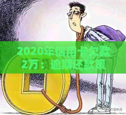 2020年信用卡欠款2万：逾期还款策略与应对措