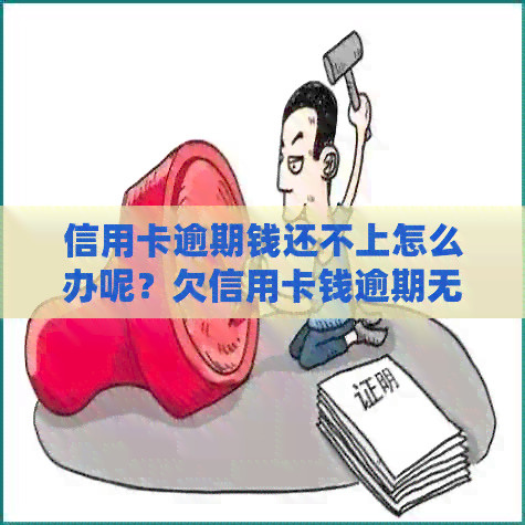 信用卡逾期钱还不上怎么办呢？欠信用卡钱逾期无力偿还该怎么办？