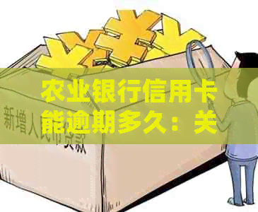 农业银行信用卡能逾期多久：关于还款时间和影响的详细解答