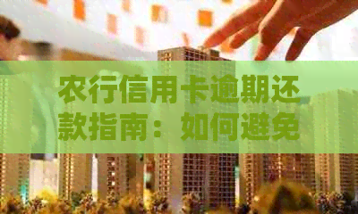 农行信用卡逾期还款指南：如何避免逾期、处理逾期记录及解决逾期问题
