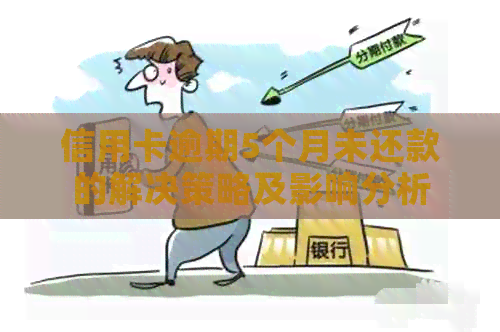 信用卡逾期5个月未还款的解决策略及影响分析