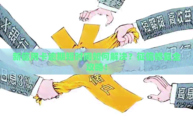 新信用卡逾期短时间如何解决？修复全攻略！
