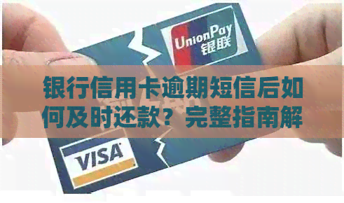银行信用卡逾期短信后如何及时还款？完整指南解答您的疑问