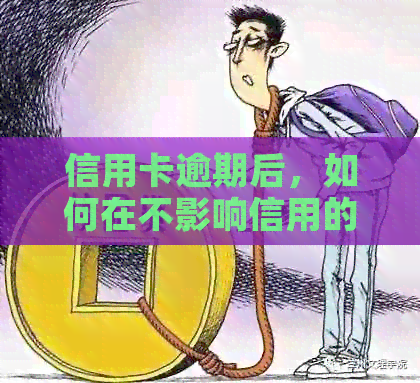 信用卡逾期后，如何在不影响信用的情况下借款？