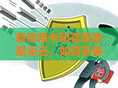 新信用卡和信用卡逾期未还,如何妥善处理并避免进一步影响个人信用? 新信用卡和信用卡逾期未还,如何妥善处理并避免进一步影响个人信用?