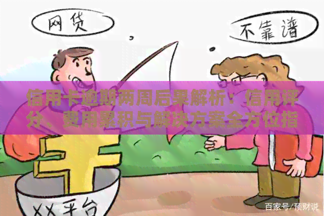 信用卡逾期两周后果解析：信用评分、费用累积与解决方案全方位指南