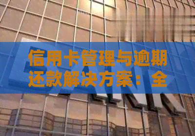 信用卡管理与逾期还款解决方案：全面解析代还软件的使用和优势