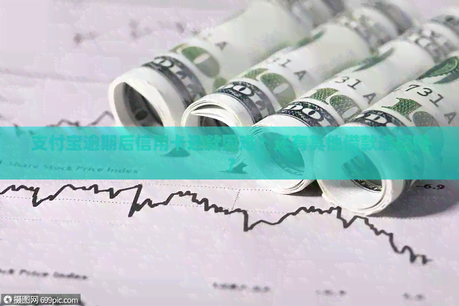 支付宝逾期后信用卡还款困难？还有其他借款途径吗？