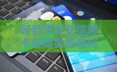 新我网贷和信用卡逾期会面临刑事责任吗？该如何解决这个问题？