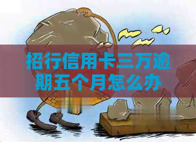 招行信用卡三万逾期五个月怎么办