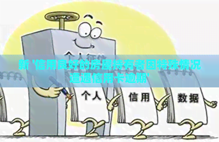 新 '信用良好的房屋持有者因特殊情况遭遇信用卡逾期'