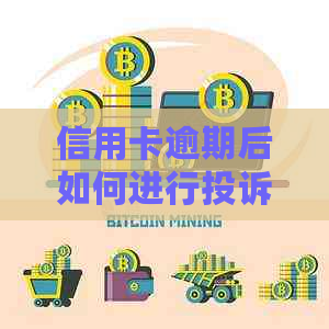 信用卡逾期后如何进行投诉和解决？包括回户地的步骤和建议