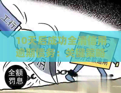 10天后成功全清信用逾期债务：关键策略与实践经验