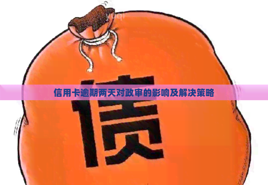 信用卡逾期两天对政审的影响及解决策略
