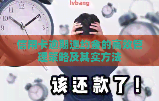 信用卡逾期违约金的高效管理策略及其实方法