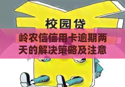 岭农信信用卡逾期两天的解决策略及注意事项，让你了解如何应对逾期问题