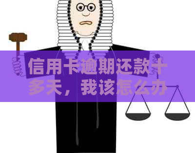信用卡逾期还款十多天，我该怎么办？如何避免逾期产生的不良影响？