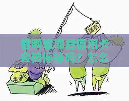 网贷逾期后信用卡会被停掉吗？怎么办？