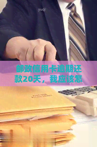 邮政信用卡逾期还款20天，我应该怎么办？这里有全面的解决方案！